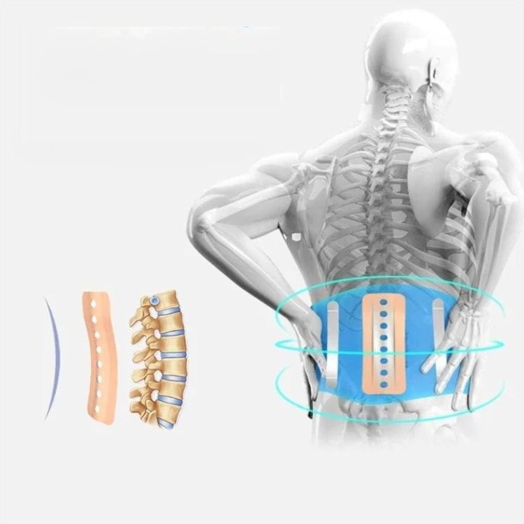 Ultimate Back Support Belt for Pain Relief