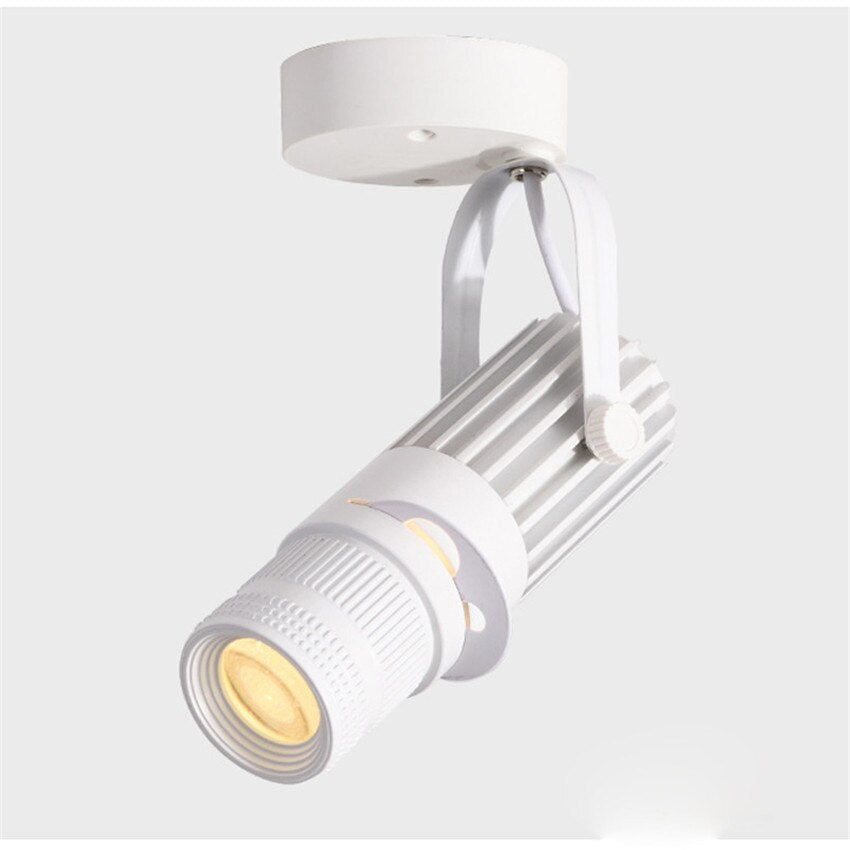 Adjustable LED Spotlight for Focused Background Lighting