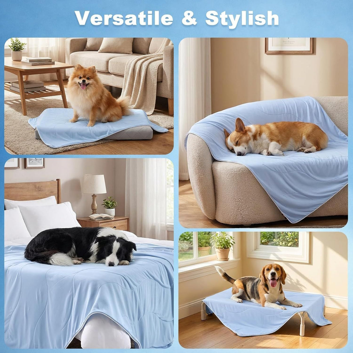 Dog Blanket Mat with Adjustable Features – Sky Blue