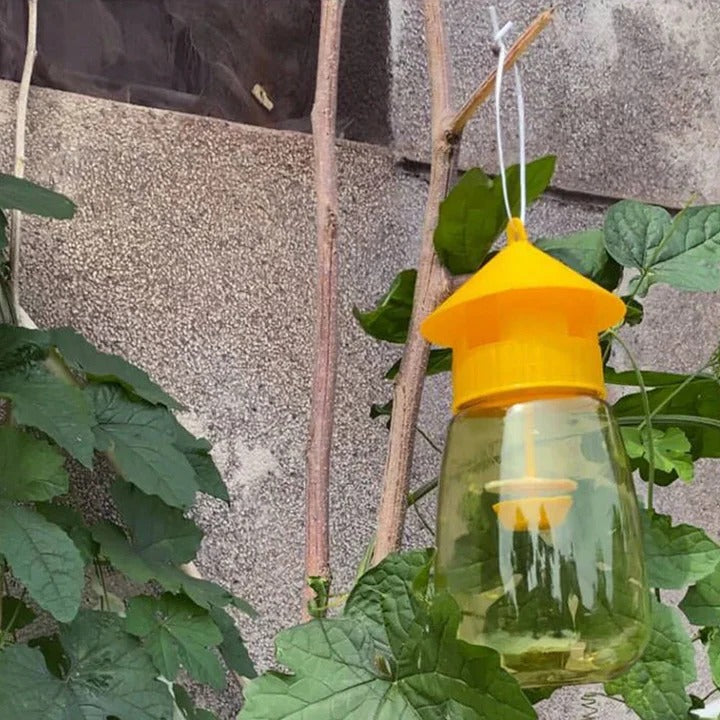 Fruit Fly Trap – Hanging Design for Effective Pest Control