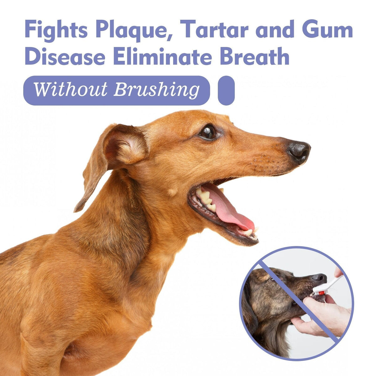 Revitalizing Pet Breath Spray for Fresh Dental Health