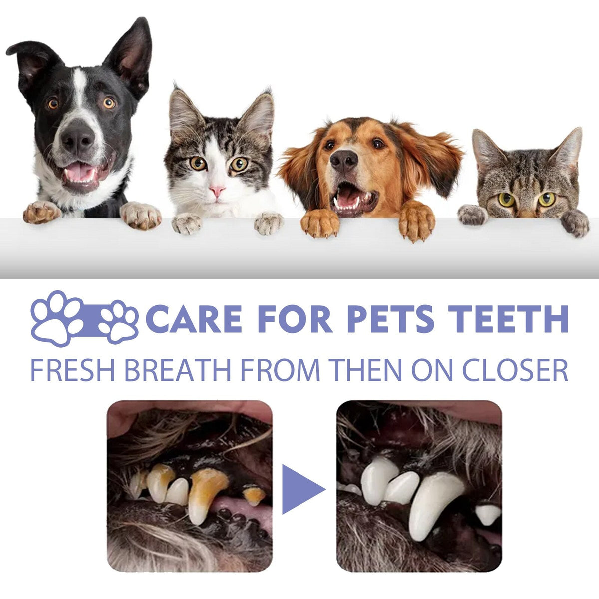 Revitalizing Pet Breath Spray for Fresh Dental Health