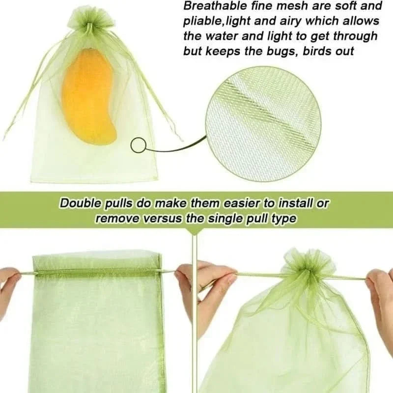 Garden Fruit Covers for Pest and Bird Protection