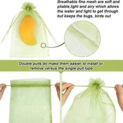 Garden Fruit Covers for Pest and Bird Protection