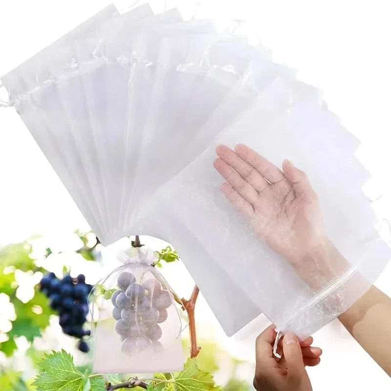 Garden Fruit Covers for Pest and Bird Protection