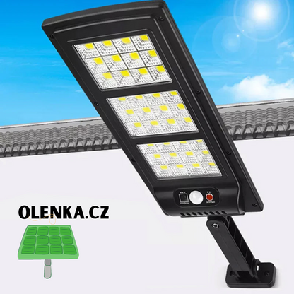 EcoBright Solar LED Garden Light