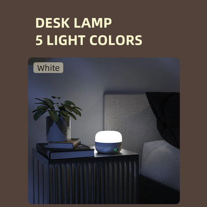1-Inch Lantern with Light