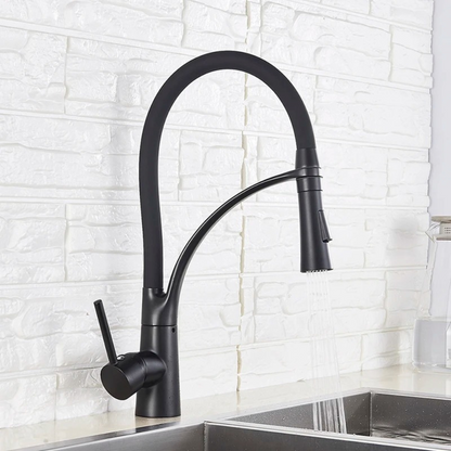 Versatile Kitchen Mixer Featuring Handheld Shower and Dual Functions – Matte Black