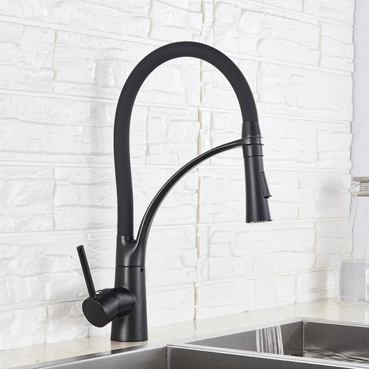Versatile Kitchen Mixer Featuring Handheld Shower and Dual Functions – Matte Black