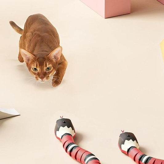 Smart Sensor Snake - Last Day Discount
