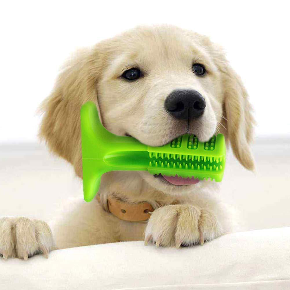 Canine Dental Cleanser Toy