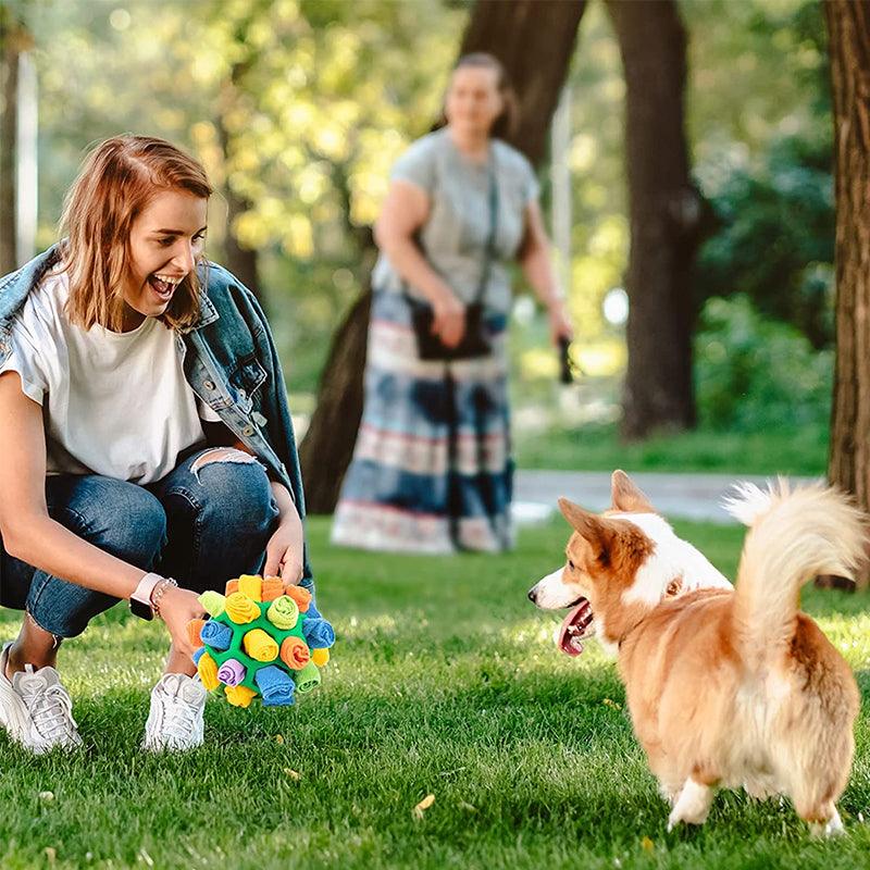 Interactive Snuffle Toy for Dogs – Engaging Playtime Activity