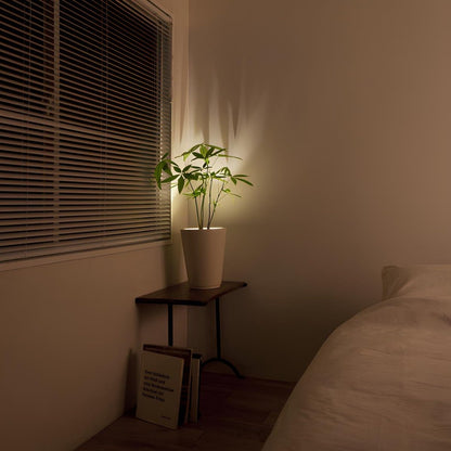 LED Wall Spotlight with Adjustable Design